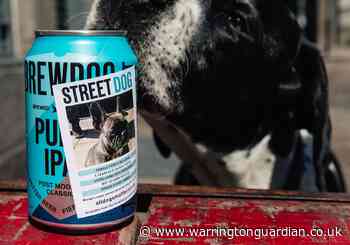 BrewDog launches 'Street Dog' beer to help rescue dogs find a new home