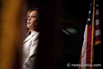 Indian Americans Don’t Want Kamala Harris Pigeon-Holed. But They Don’t Want to See Her Biracial Heritage Erased Either