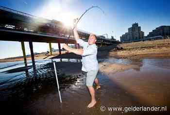 Thierry Aartsen (VVD): ‘Mark krijgt terecht vaak een veer in zijn reet’