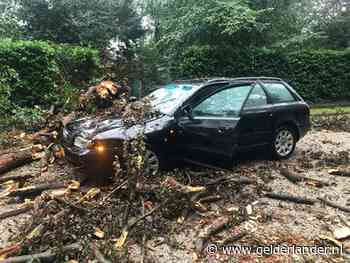 Boom valt op rijdende auto met daarin gezin met jong kind