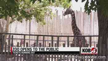 ABQ BioPark Zoo welcomes visitors