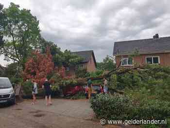 Boom valt op woning en auto’s tijdens noodweer in Ewijk