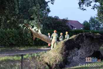 Opnieuw overlast in de regio door zware buien en wind