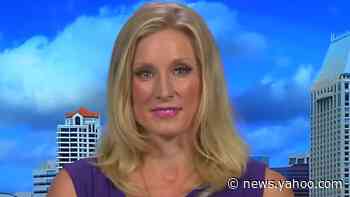 Democratic strategist on the accuracy of current poll numbers