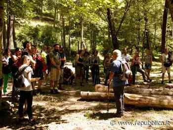 La via Romea Nonantolana: tra Modena e Bologna un mix di storia, religione e tradizioni - La Repubblica