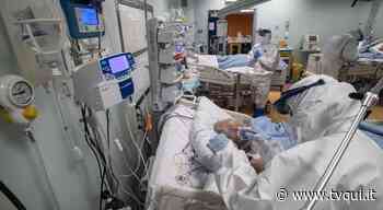 AGGIORNAMENTO COVID: 71 CASI IN REGIONE E UNA VITTIMA. A MODENA 10 POSITIVI IN PIU - Tvqui