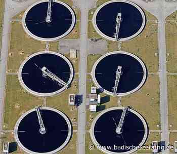 Klärschlamm von Rastatt bis Lörrach einsammeln - Wirtschaft - Badische Zeitung