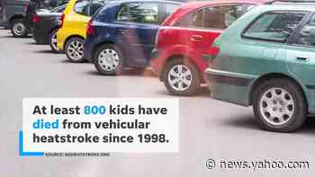 Two brothers in Alabama, ages 3 and 1, die in 'tragic accident' after getting into a hot car on their own