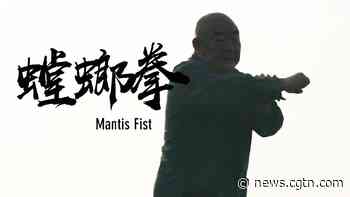Mantis Fist: Routines in martial arts reflect the philosophy of life - CGTN
