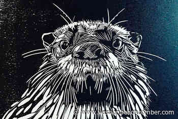 Summer Arts Fest to open its final set of shows | Vashon-Maury Island Beachcomber - Vashon-Maury Island Beachcomber