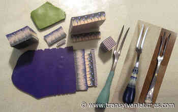 Number 7 Arts Hosts Demonstration - The Transylvania Times