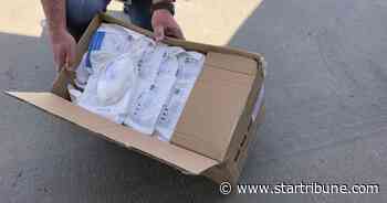 Where are the N95 masks?