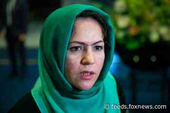 Afghan woman in Taliban peace talks injured in 'assassination attempt'