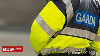 Dublin canal: Woman pushed into water after 'racial abuse'