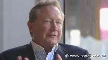Twiggy Forrest Pours $20M Into War On Google And Facebook