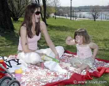 Picnic gadgets I didn’t know I needed before the COVID-19 quarantine - SILive.com