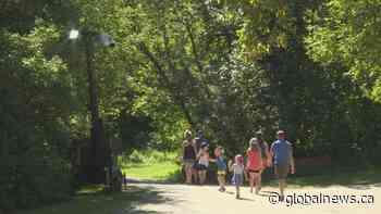 Edmonton police set up CCTV camera in Mill Creek Ravine following attempted sexual assault