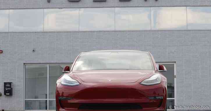 Elon Musk promises Tesla updates like goat honks, pothole detection