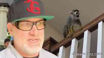 Jesse James' Pet Monkey Breaks into Neighbor's House, Gets Aroused