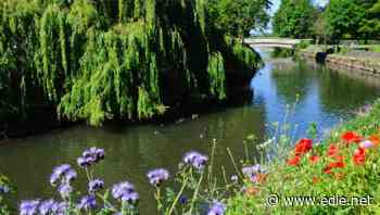 Defra selects local authorities to spearhead innovative nature restoration projects