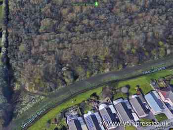 Police called to 'large gathering of youths' in Haxby wood