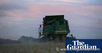 UK facing worst wheat harvest since 1980s, says farmers' union