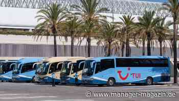 Tui-Aktie bricht erneut ein: Tui kritisiert pauschale Mallorca-Reisewarnung