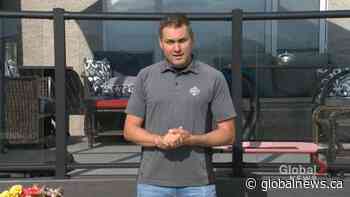 What the Deck: Skirting