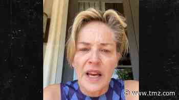 Sharon Stone Says Family Ravaged by COVID-19, Blames Trump, Montana Officials
