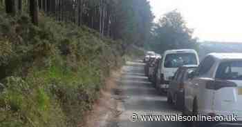 Soiled nappies, BBQs and rubbish left in lay-bys busy with overnight campers