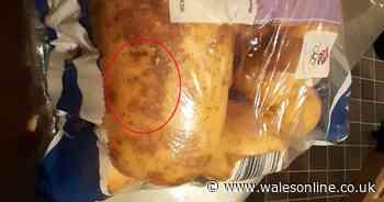 Mum shocked after finding face of Jesus in a supermarket potato