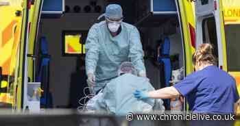 Coronavirus LIVE: UK death toll rises with confirmed cases up by 713