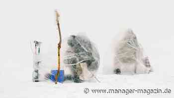 Büros: Wie Sie Mitarbeiter vor Ansteckungen schützen können