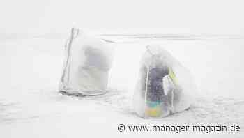 Wie das Büro der Zukunft aussehen wird