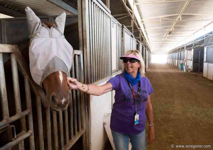 End of an era looms for horse stables near Anaheim’s Honda Center