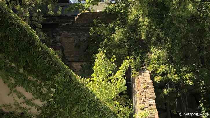 Was vom Tage übrig blieb: Eingekauft, eingetragen und vereinigt