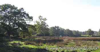 First image of plan for thousands of trees at this Solihull site - Birmingham Live