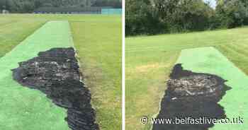 South Belfast cricket club vandalism condemned by chairman - Belfast Live