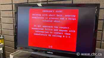 Amber Alert issued in possible abduction of 12-year-old girl in Prince Edward Island