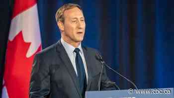 Conservative leadership candidate profile: Peter MacKay