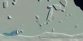 Scientists Just Discovered 11 New Emperor Penguin Colonies. From Space.