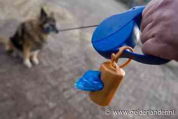 Duitsland wil baasjes verplichten om twee keer per dag hun hond uit te laten