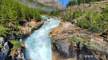 Alberta woman and B.C. man die in seperate weekend drownings