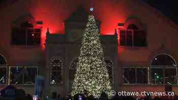 City of Ottawa shopping for 18-foot artificial 'Holiday Tree' for City Hall this Christmas - CTV News Ottawa