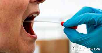Ottawa adds 13 new coronavirus cases on Wednesday - Global News