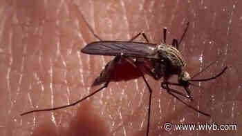Erie County Department of Health offers tips to prevent mosquito bites