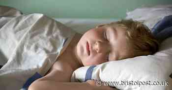 Steamy 'tropical nights' ahead as heatwaves become more common in UK - Bristol Live