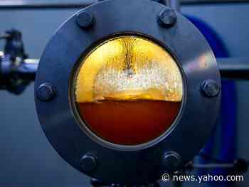 A 47-year-old man kept getting drunk from alcohol produced in his own gut. Doctors cured him with a poop transplant.