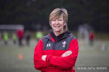 Burgess aims to make mark in governance - Welsh Rugby Union