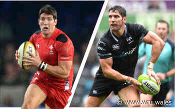 Wales & Regions | Hook: 'Coaching is all about relationships' - Welsh Rugby Union